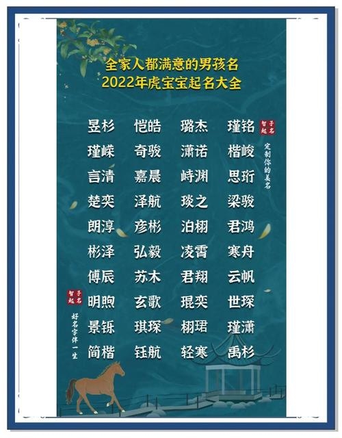 探寻2022虎年最旺男孩名字插图