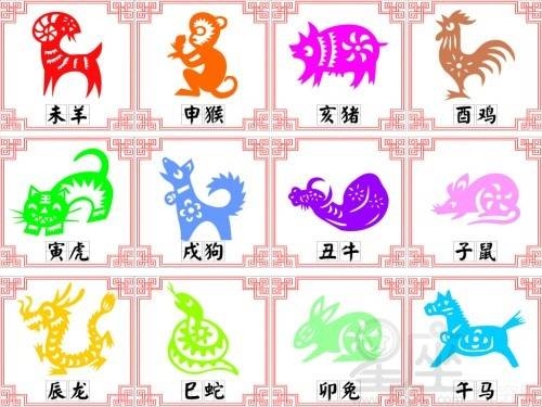 揭秘2024年十二生肖与49码图的神秘关联插图