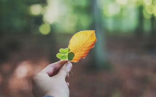 2023年犯太岁如何有效化解插图