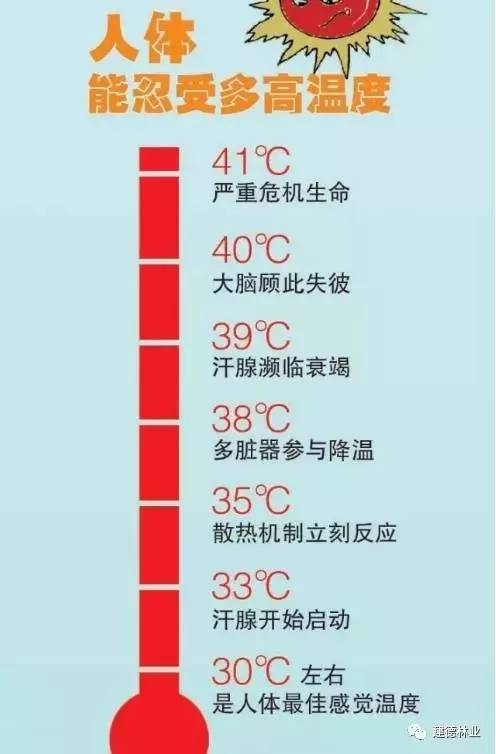 揭秘2023年入伏时间,你需知道的几点插图 揭秘2023年入伏时间,你需知道的几点插图