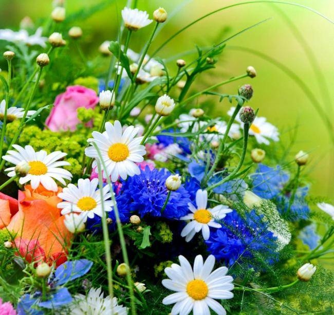 2002年属马女的最佳结婚年龄探讨插图