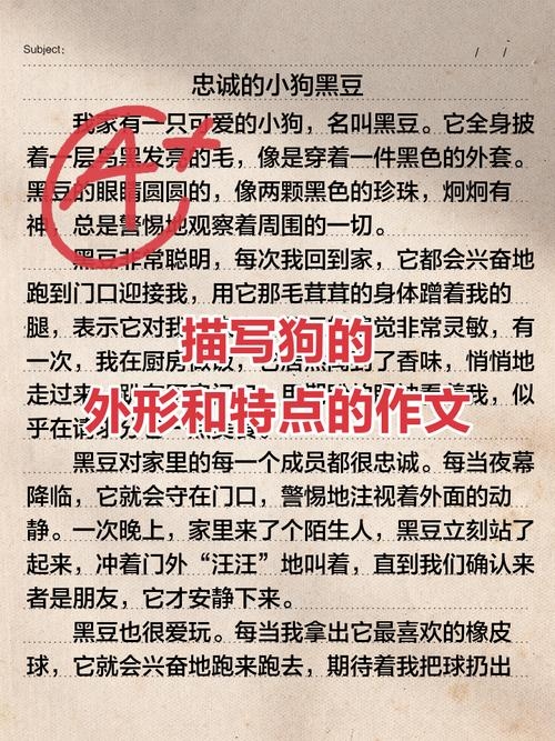 傻眉楞眼打一动物是狗，形象描绘生肖特性。插图