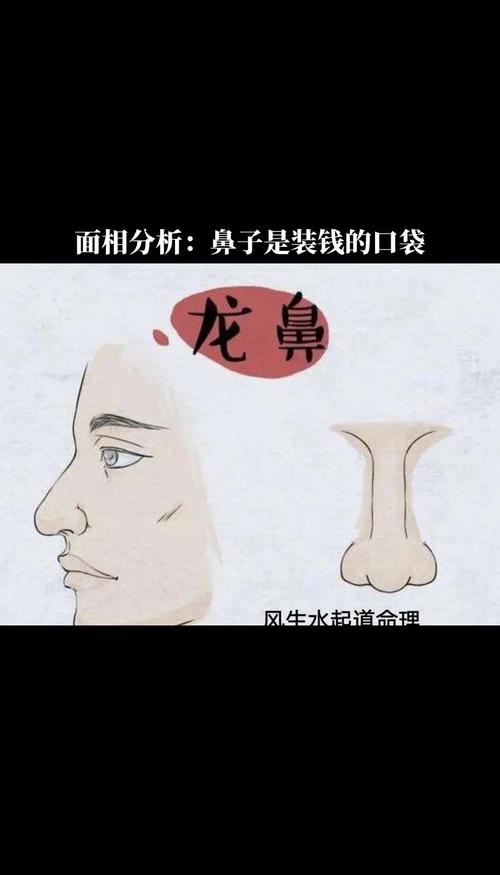 鼻型与财运解析，知秋相学真的准确吗？插图