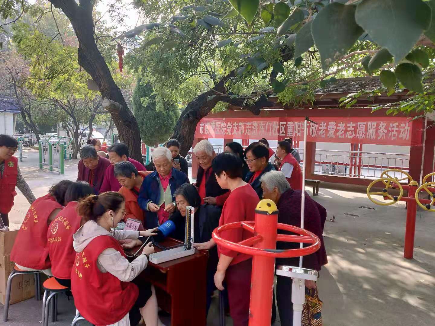 10月节日揭秘，国际盲人节、农村妇女日等庆祝活动在这一天展开插图