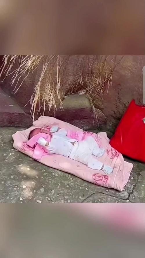 弃婴预示重要失落插图