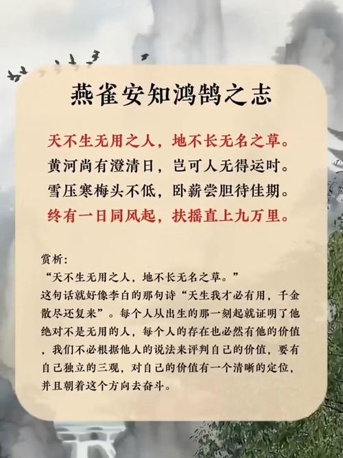 鸿鹄意思及古代含义插图