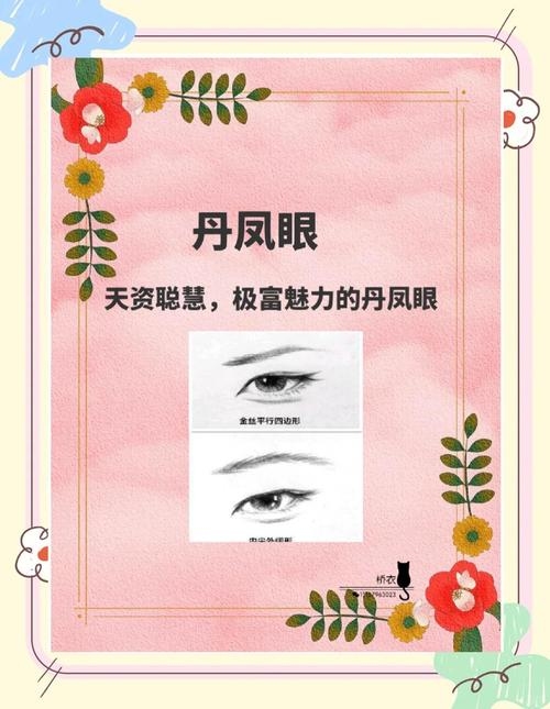 丹凤眼，东方美学的独特标志。插图