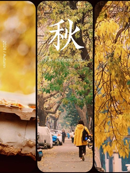 10月14日,秋意浓情的日子插图 10月14日,秋意浓情的日子插图