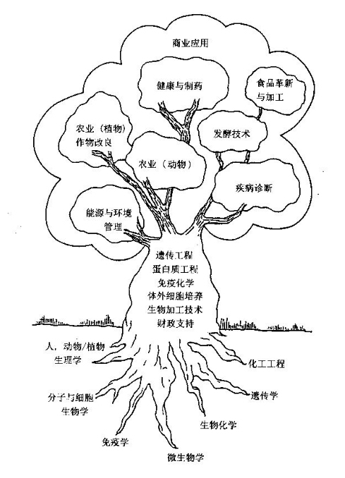 智慧之林，班级成长树。插图