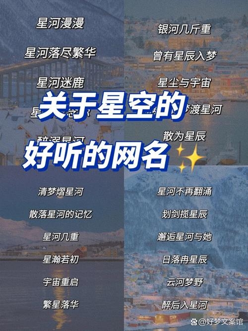 20字内意义网名推荐，梦幻星辰，诗意栖居。插图