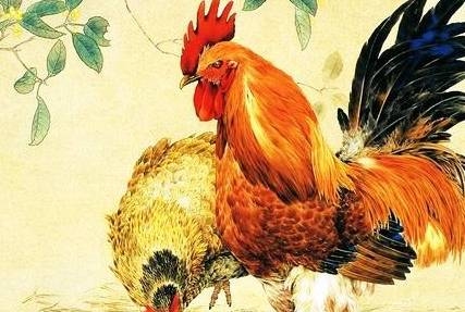属鸡最配属的生肖，牛、龙、蛇，解析与婚配建议。插图