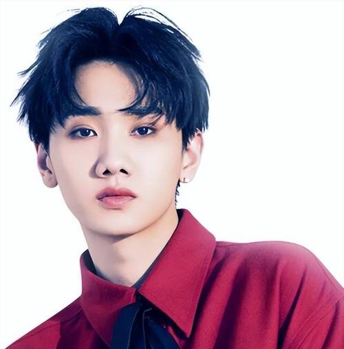 塌鼻子帅哥的存在与魅力探索，自信气质与个人魅力的力量插图