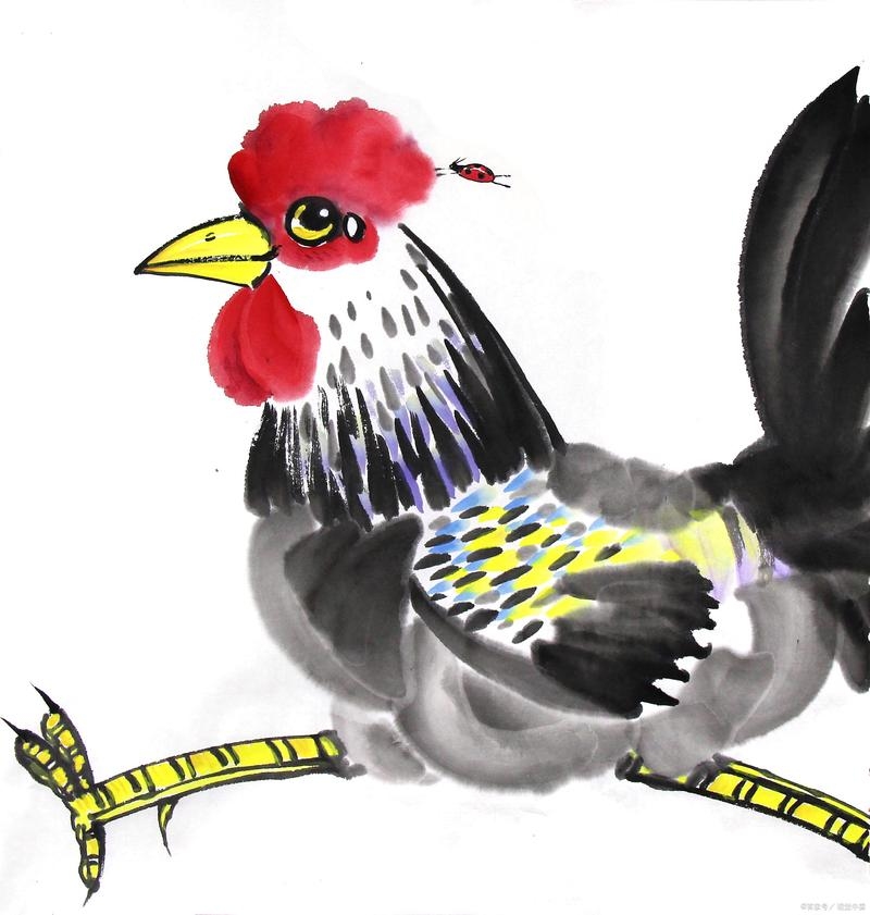 阴阳二分与生肖关系解析，揭秘最佳答案标题简洁明了，直接概括了文章的核心内容。插图