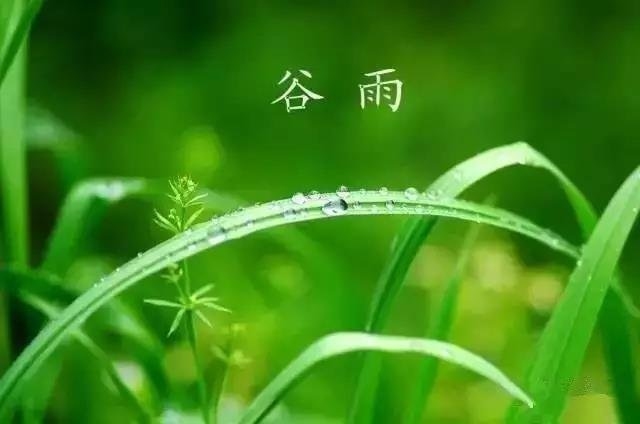 谷雨节气介绍，日期特点与影响插图