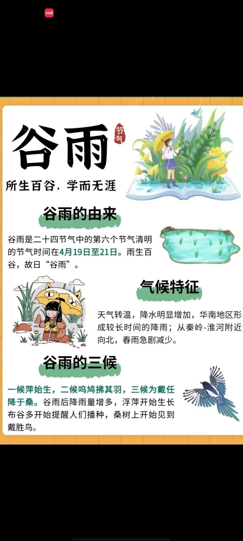 谷雨节气详解插图