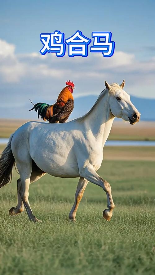 骄阳似火与生肖马、鸡有关。插图