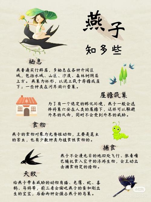 燕语莺声生肖解读插图