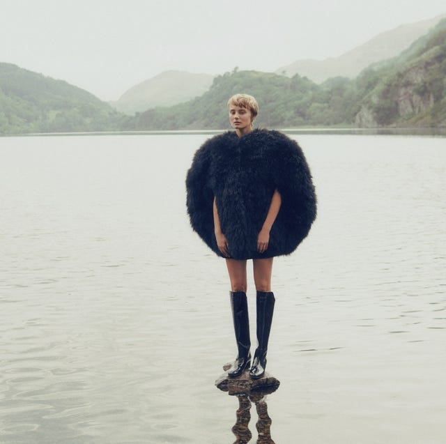 2月星座解析插图