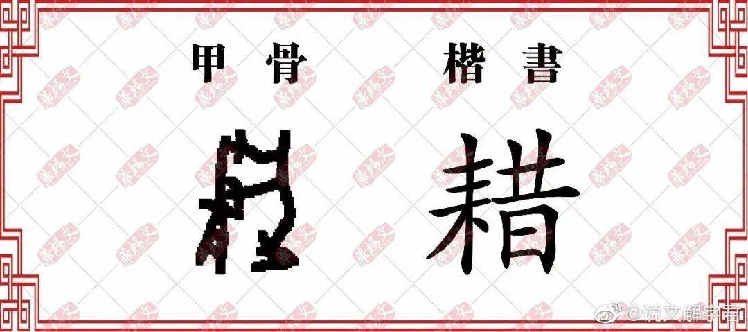 籍与藉，读音用法辨析插图