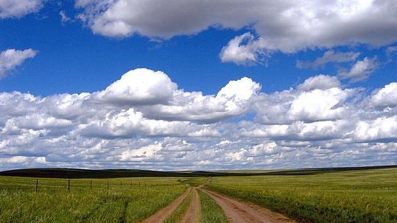 6月18日多重意义揭秘，草原保护、电商狂欢与宗教节日插图
