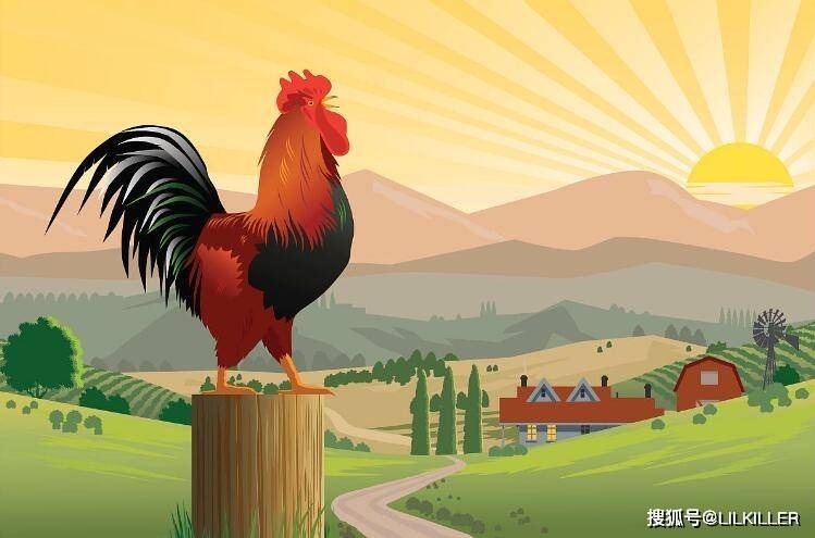 夕阳西下猜一生肖，答案聚焦，猴、羊与鸡插图