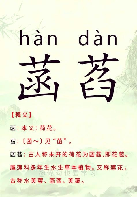 菡字读音及含义插图