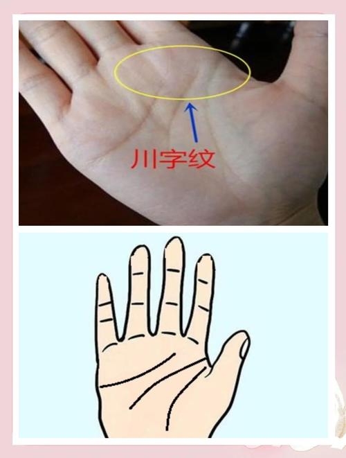 川字手纹富贵论插图