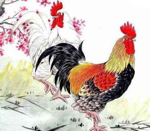 妄自尊大解一生肖，猴与鸡，该成语描绘的是一种过于自信、自大且缺乏谦逊的态度，在生肖中猴子常被认为聪明机智但可能伴有自大的特性；而鸡的昂首挺胸姿态也易让人联想到妄自尊大。因此，答案可能是猴或鸡。插图