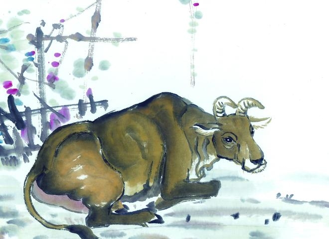 扭转乾坤的生肖,牛与龙插图 扭转乾坤的生肖,牛与龙插图