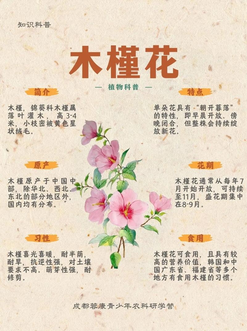 槿字寓意，根据您提供的内容，槿字的含义可以理解为开花时间短暂、象征生命珍贵和时光易逝的美好。同时，它也可以代表一种落叶灌木木槿花的意思，具有坚韧不拔的精神品质和文化寓意。在诗词文学中，槿常被用来比喻人的纯洁美好和不屈精神。，具体来说，瑾分别代表了美玉的含义和高贵、纯洁的寓意；瑾读作jǐn，在中国传统文化中也常常被赋予珍贵的意义，如左传·宣公十五年中的瑾瑜匿瑕。此外，槿也代表着木本植物的特点和时间短暂的意象。因此，取名时可以根据个人喜好选择合适的字组合起来形成寓意好的名字。插图