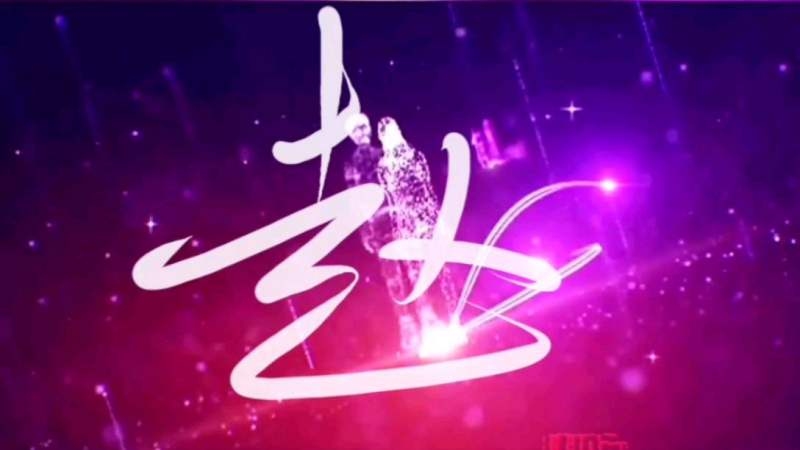 赵字艺术签名示例插图