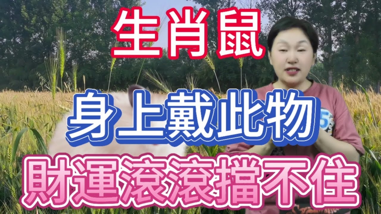 一步登天，生肖鼠的象征。插图