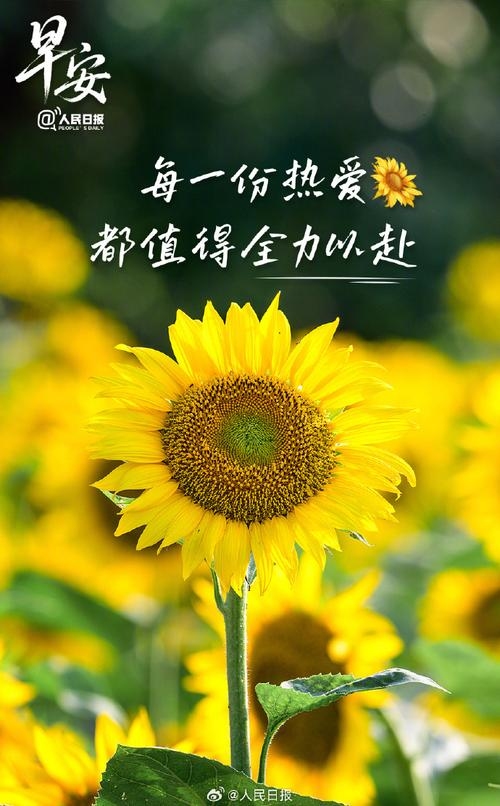 阳光心态,正能量满满。插图 阳光心态,正能量满满。插图