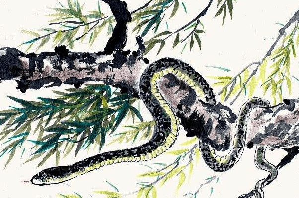 义结金兰与生肖，蛇为最佳匹配，虎为主要象征插图