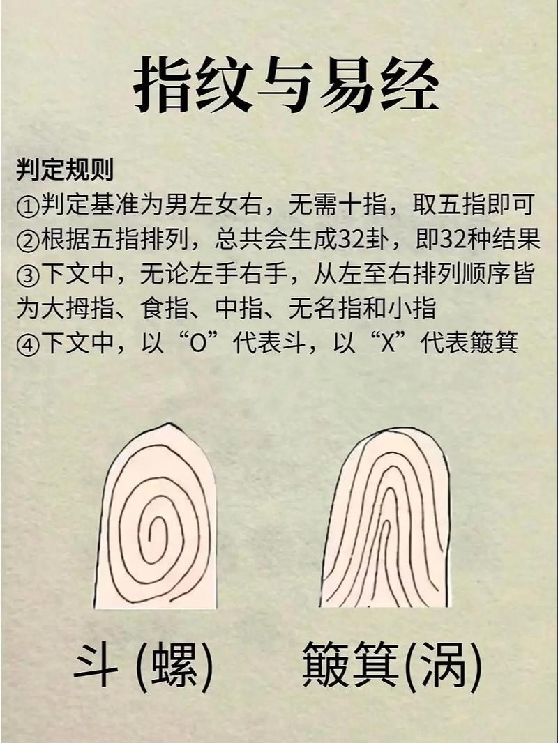 易经手相详解，从手指纹看命运与性格特征插图