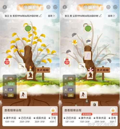 易奇八字软件，婚姻树功能解析与准确率探讨插图