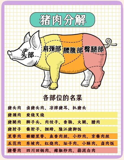 一日三餐吃不饱打一生肖——揭秘猪的象征意义与特点插图