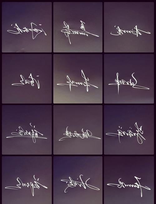 艺术签名设计技巧与示例，名字签名的魅力，或者，个性与艺术并存的名字签名探索插图