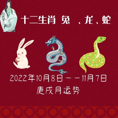 玉兔出宫最佳生肖答案是龙。插图