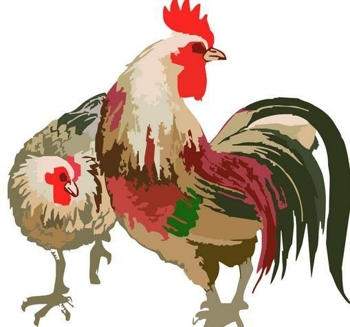 一枝独秀指鸡生肖。插图