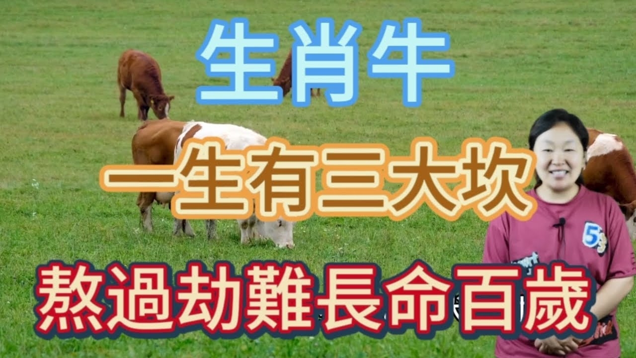 迎刃而解——生肖牛。插图 迎刃而解——生肖牛。插图