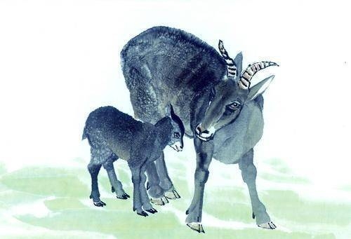 衣锦还乡的生肖之谜,揭秘是羊还是马?插图 衣锦还乡的生肖之谜,揭秘是羊还是马?插图