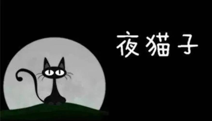 夜猫子进宅，不祥之兆插图
