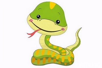 与众不同生肖蛇插图
