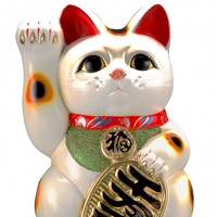 招财旺主猫咪名插图