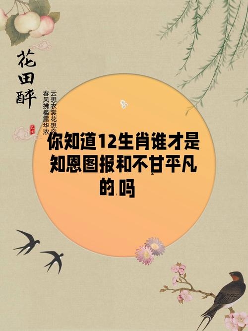 知恩图报生肖揭秘，狗、羊与鼠的象征意义插图