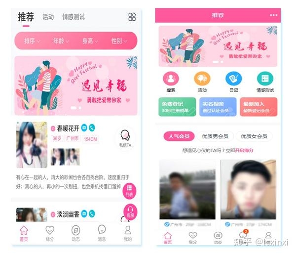 中国婚恋网站概览插图