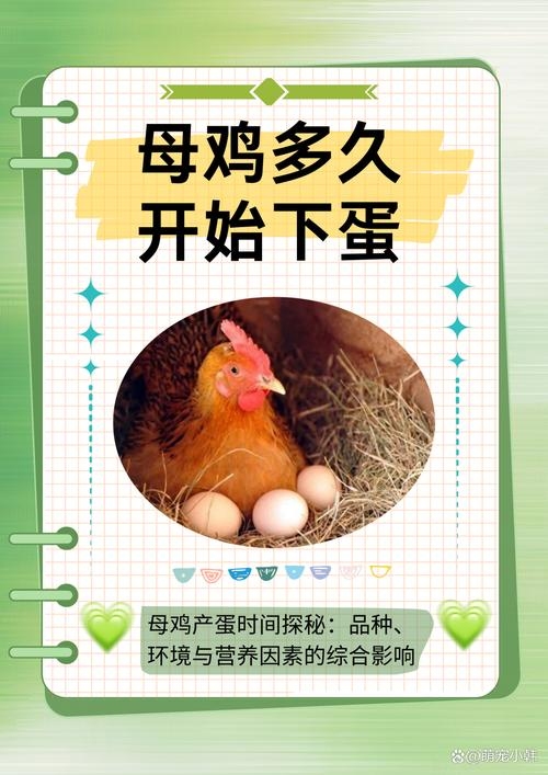 周公解梦，梦见母鸡下蛋预示好运与财富，女性梦到暗示怀孕或婚姻之喜，男性则可能事业顺利。插图