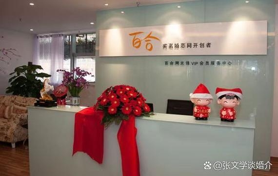 中老年征婚再婚平台简介及推荐，世纪佳缘、百合网等，（涵盖下载及使用指南）插图