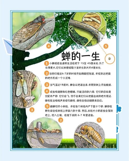 知了猴梦解析，预示好运与事业进步插图